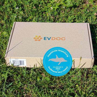 EV-DOC Aero Scheibenwischer, hinten für VW ID.3 & CUPRA Born